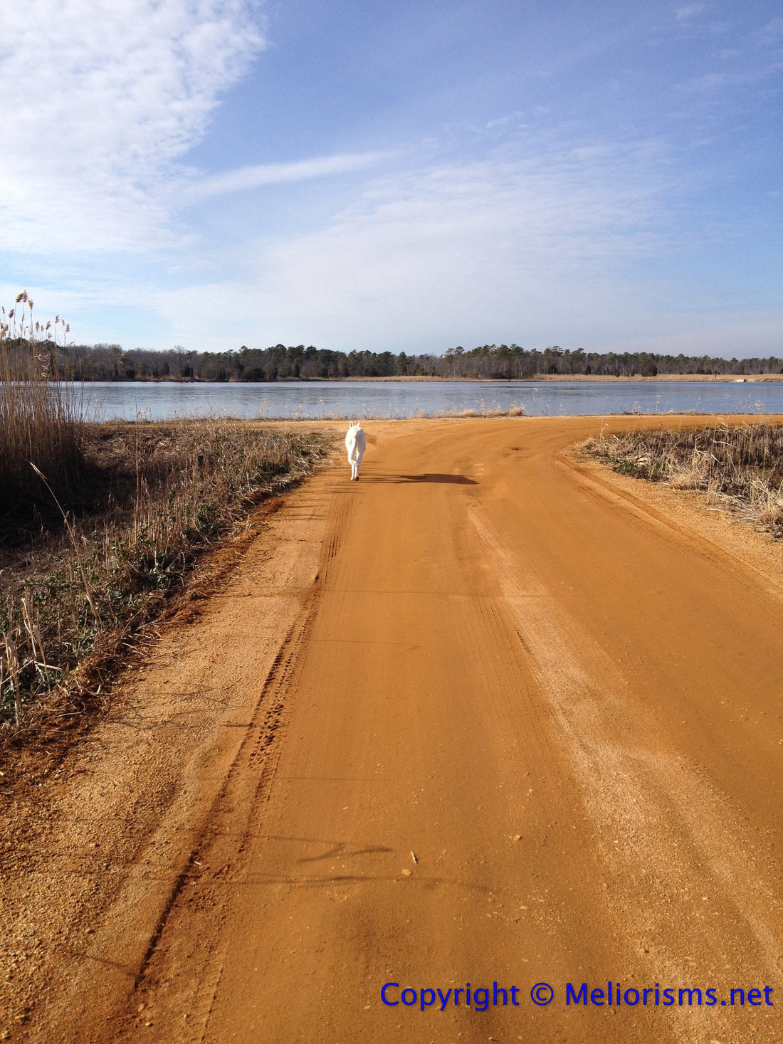 My Path isn't Your Path