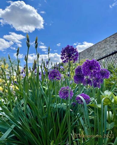 The Only Guarantee in Life is Change